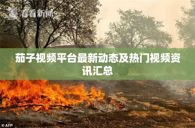 茄子视频平台最新动态及热门视频资讯汇总