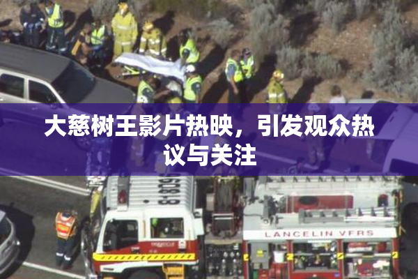 大慈树王影片热映，引发观众热议与关注