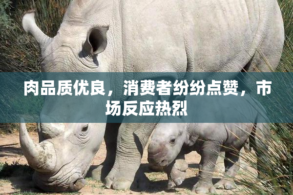 肉品质优良，消费者纷纷点赞，市场反应热烈