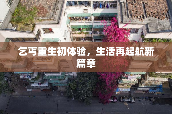 乞丐重生初体验，生活再起航新篇章
