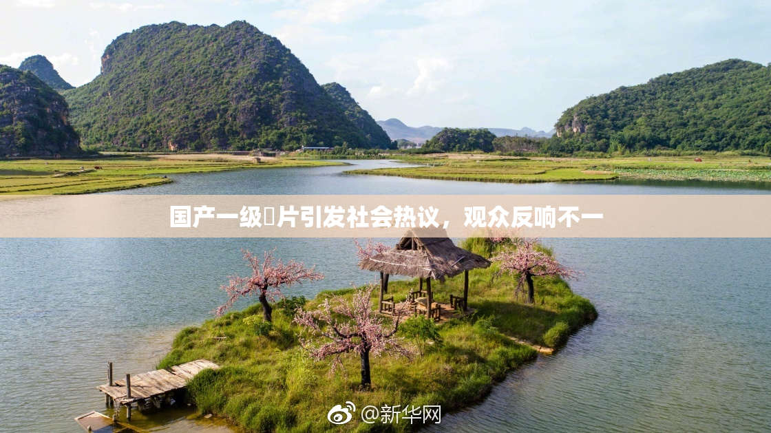 国产一级婬片引发社会热议，观众反响不一