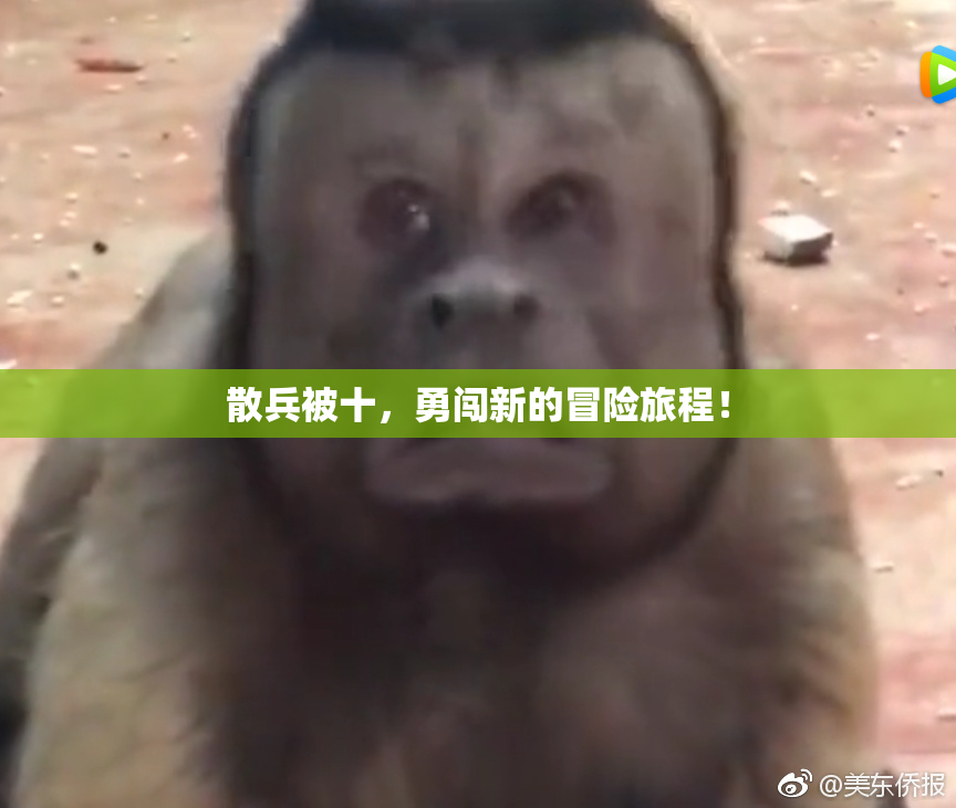 散兵被十，勇闯新的冒险旅程！