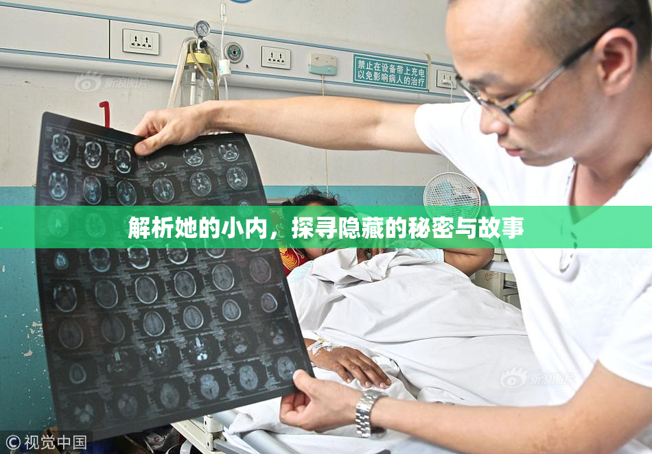 解析她的小内，探寻隐藏的秘密与故事