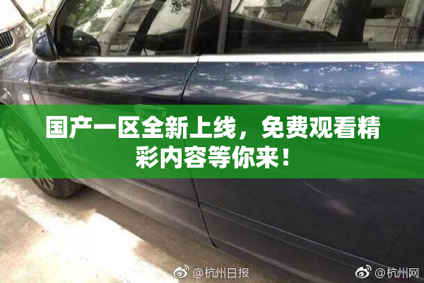 国产一区全新上线，免费观看精彩内容等你来！