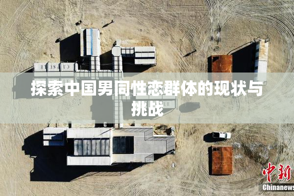 探索中国男同性恋群体的现状与挑战