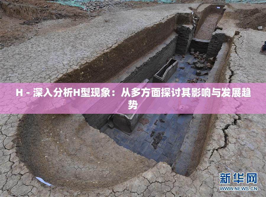 H - 深入分析H型现象：从多方面探讨其影响与发展趋势