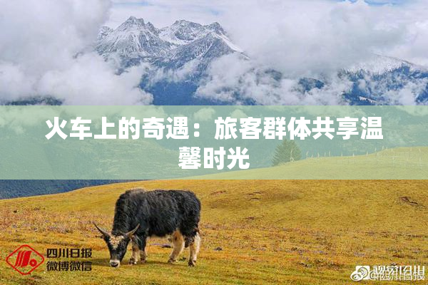 火车上的奇遇：旅客群体共享温馨时光