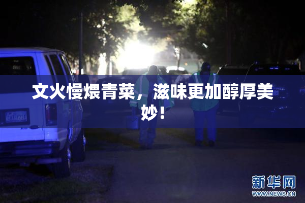文火慢煨青菜，滋味更加醇厚美妙！