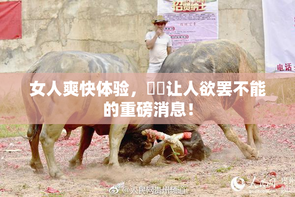 女人爽快体验，❌‌让人欲罢不能的重磅消息！