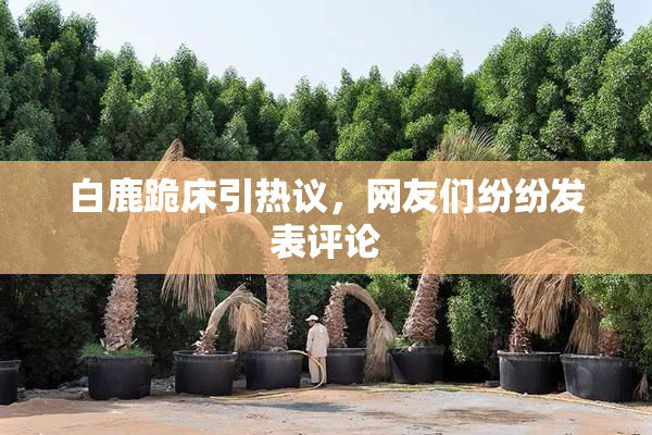 白鹿跪床引热议，网友们纷纷发表评论