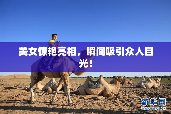 美女惊艳亮相，瞬间吸引众人目光！