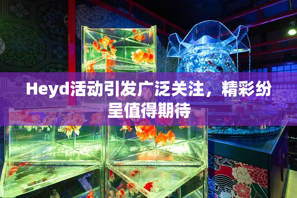 Heyd活动引发广泛关注，精彩纷呈值得期待