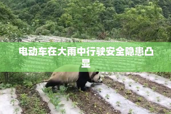 电动车在大雨中行驶安全隐患凸显