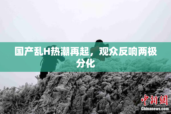 国产乱H热潮再起，观众反响两极分化