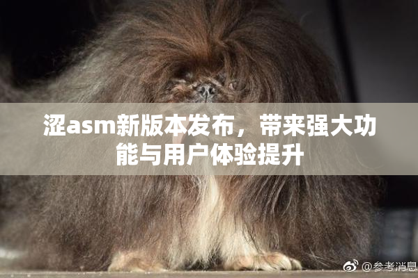 涩asm新版本发布，带来强大功能与用户体验提升