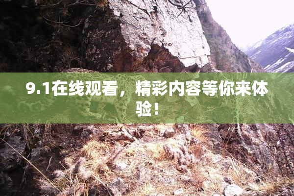 9.1在线观看，精彩内容等你来体验！