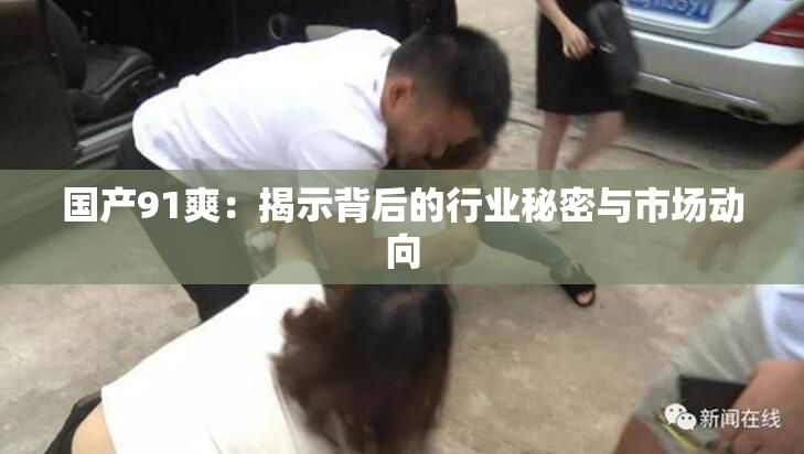 国产91爽：揭示背后的行业秘密与市场动向