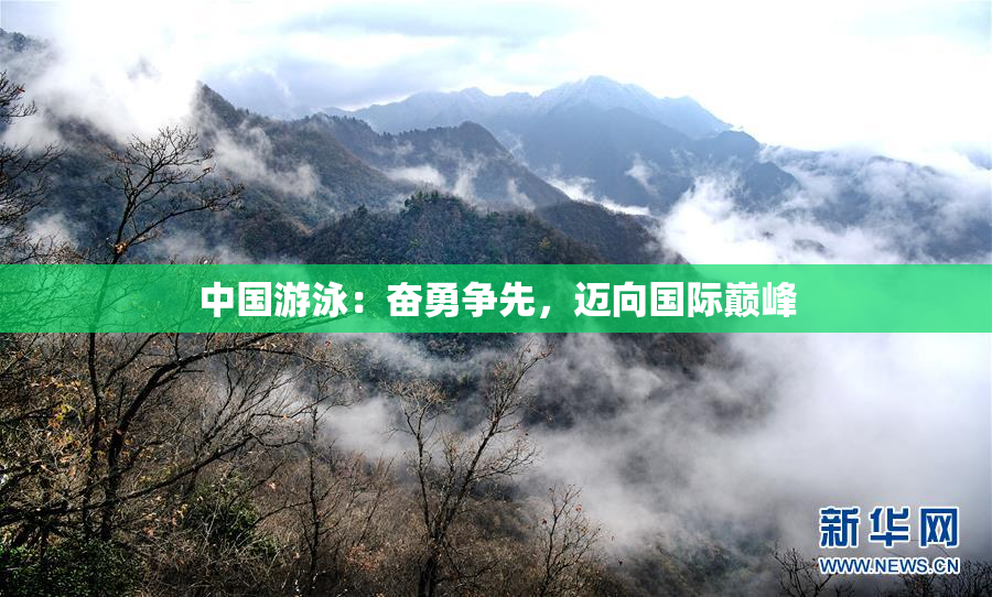 中国游泳：奋勇争先，迈向国际巅峰