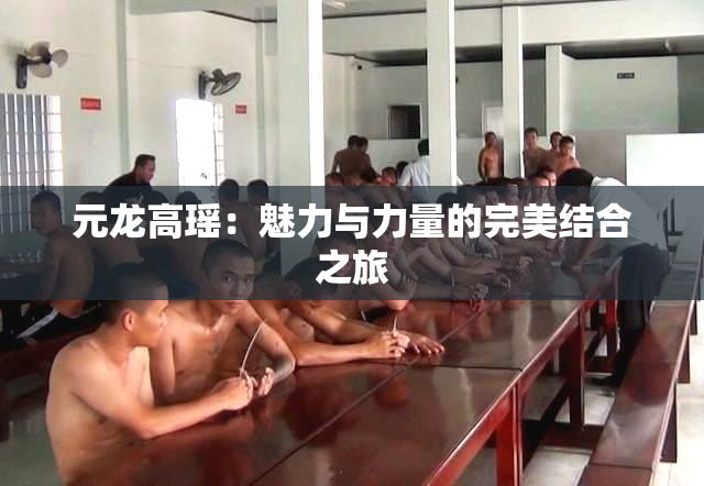 元龙高瑶：魅力与力量的完美结合之旅