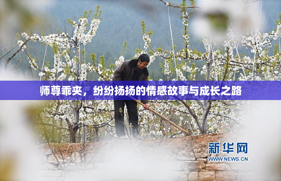 师尊乖夹，纷纷扬扬的情感故事与成长之路