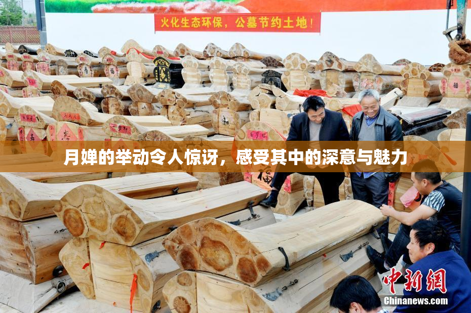 月婵的举动令人惊讶，感受其中的深意与魅力