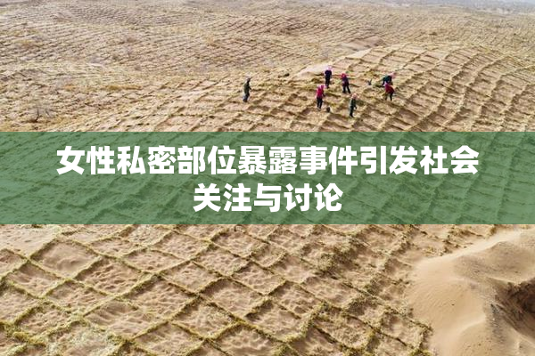 女性私密部位暴露事件引发社会关注与讨论