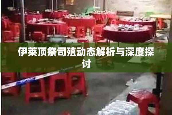 伊莱顶祭司殖动态解析与深度探讨