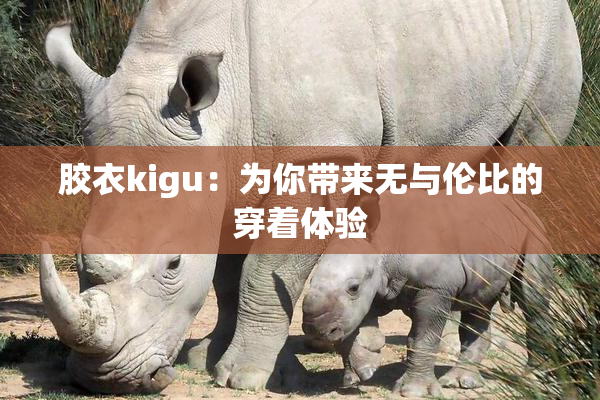 胶衣kigu：为你带来无与伦比的穿着体验