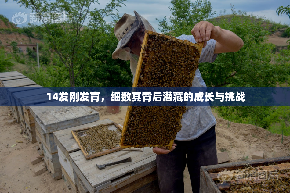 14发刚发育，细数其背后潜藏的成长与挑战