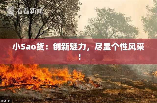 小Sao货：创新魅力，尽显个性风采！