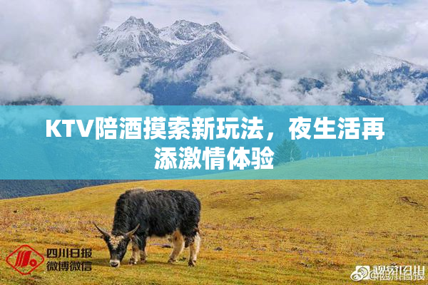 KTV陪酒摸索新玩法，夜生活再添激情体验