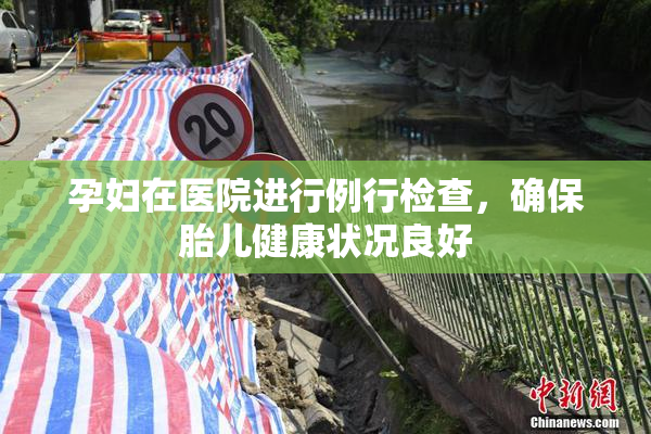 孕妇在医院进行例行检查，确保胎儿健康状况良好
