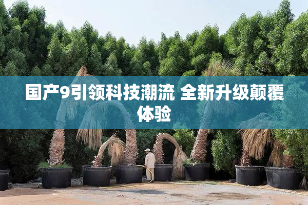 国产9引领科技潮流 全新升级颠覆体验