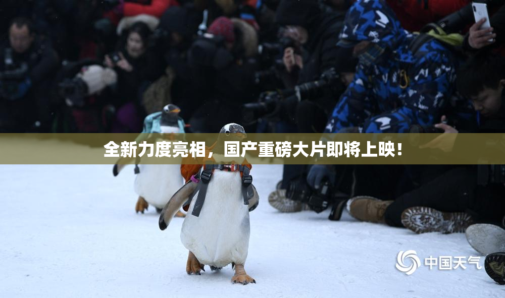 全新力度亮相，国产重磅大片即将上映！