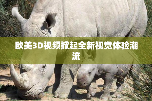 欧美3D视频掀起全新视觉体验潮流