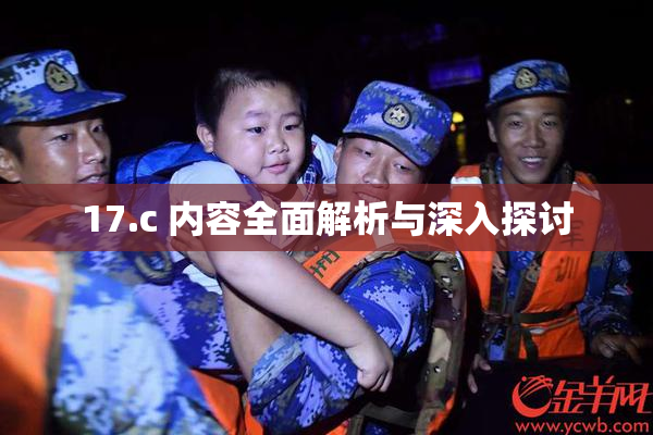17.c 内容全面解析与深入探讨