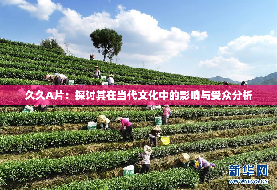 久久A片：探讨其在当代文化中的影响与受众分析