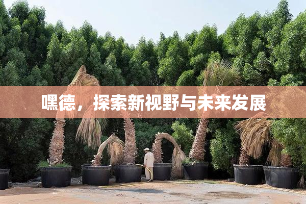 嘿德，探索新视野与未来发展
