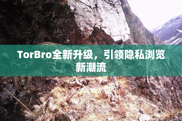 TorBro全新升级，引领隐私浏览新潮流