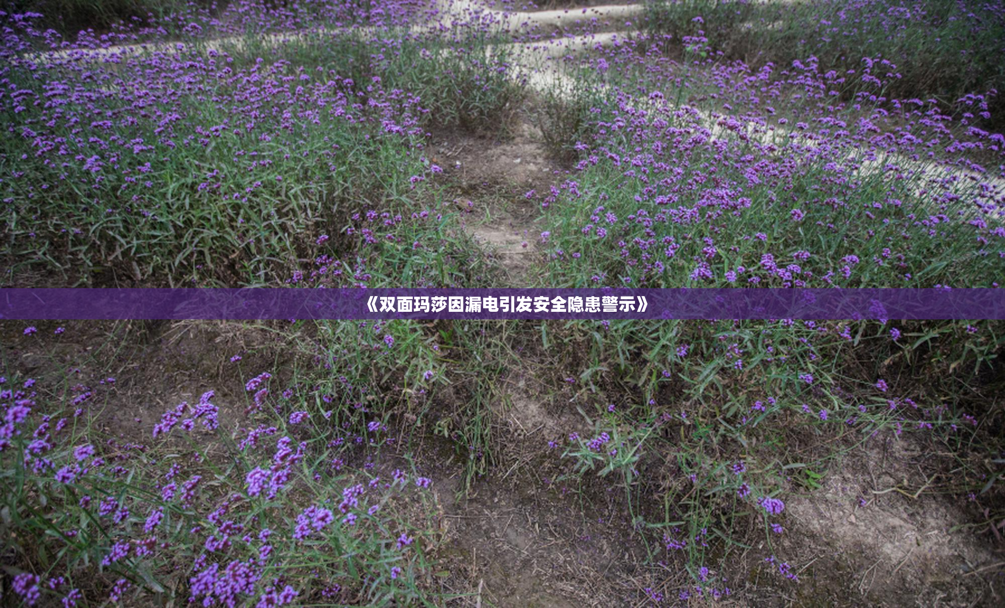 《双面玛莎因漏电引发安全隐患警示》