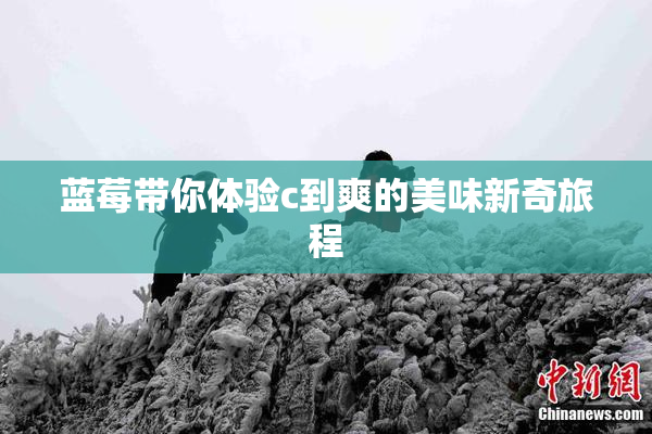 蓝莓带你体验c到爽的美味新奇旅程