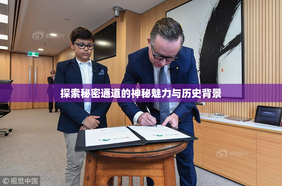 探索秘密通道的神秘魅力与历史背景