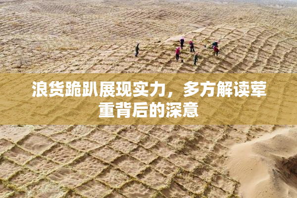 浪货跪趴展现实力，多方解读荤重背后的深意