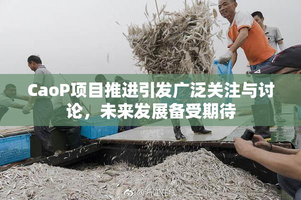 CaoP项目推进引发广泛关注与讨论，未来发展备受期待