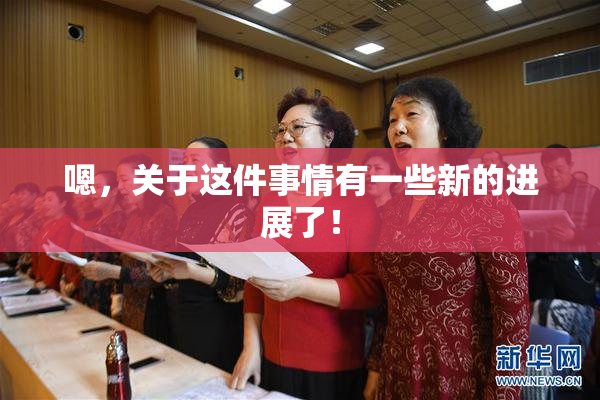 嗯，关于这件事情有一些新的进展了！
