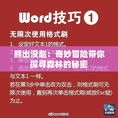 熊出没赵：奇妙冒险带你探寻森林的秘密