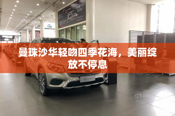 曼珠沙华轻吻四季花海，美丽绽放不停息