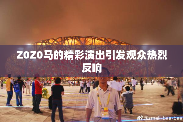 Z0Z0马的精彩演出引发观众热烈反响