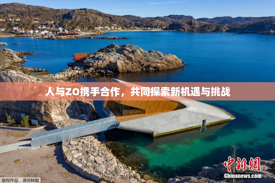 人与ZO携手合作，共同探索新机遇与挑战