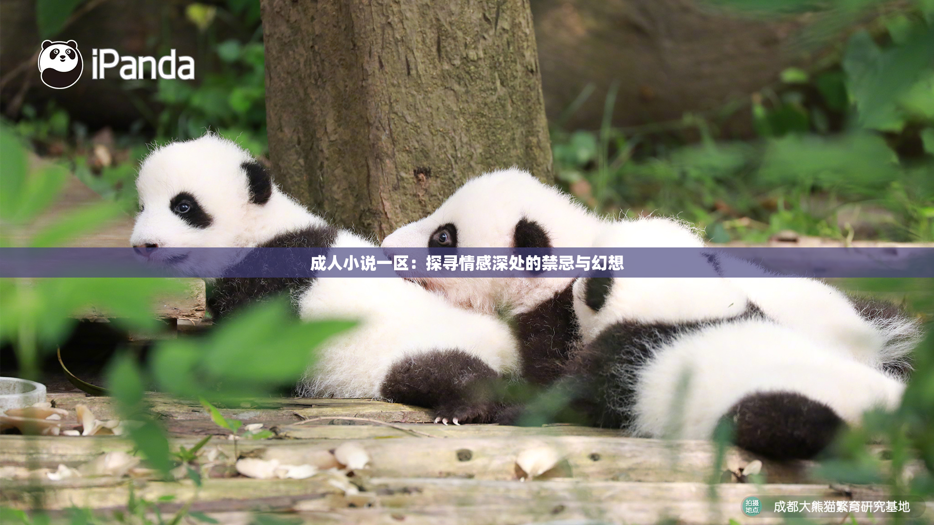成人小说一区：探寻情感深处的禁忌与幻想